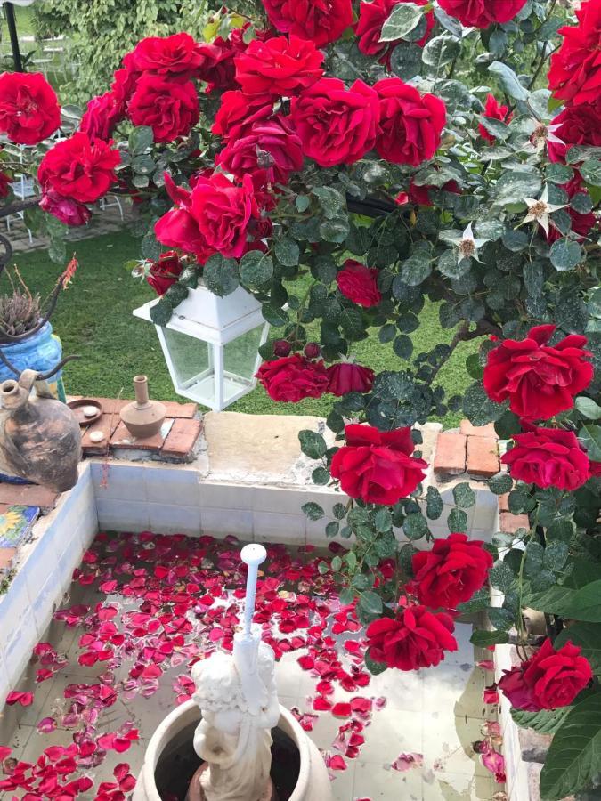 La Capanna Di Giuseppe E Maria Bed & Breakfast Taormina Bagian luar foto